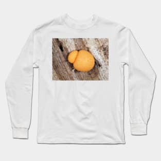 Slime mold Lycogala epidendrum or similar Lycogala sp. Long Sleeve T-Shirt